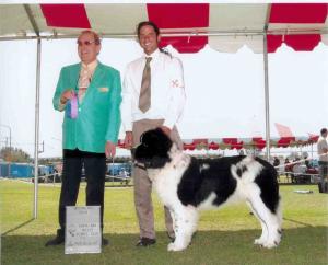 9-25-05 Sailer Winners dog1
